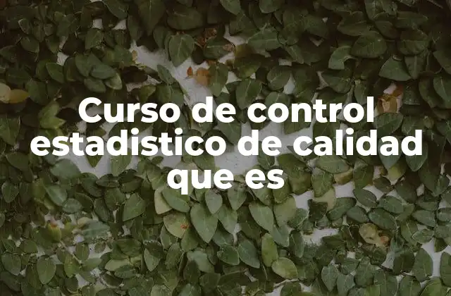 Curso de Control Estadistico de Calidad que es