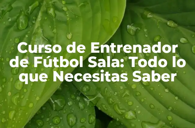 Curso de Entrenador de Fútbol Sala: Todo Lo que Necesitas Saber 2 ¿Cuál es el Objeto de un Curso de Entrenador de Fútbol Sala?