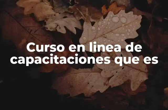 Curso en Linea de Capacitaciones que es