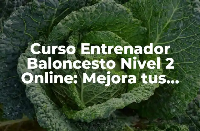 Curso Entrenador Baloncesto Nivel 2 Online: Mejora Tus Habilidades