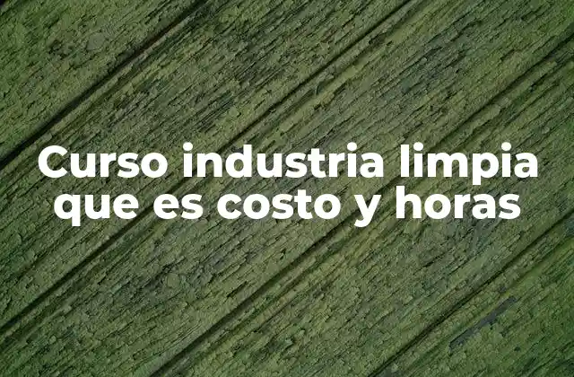 Curso Industria Limpia que es Costo y Horas