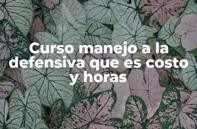 Curso Manejo a la Defensiva que es Costo y Horas