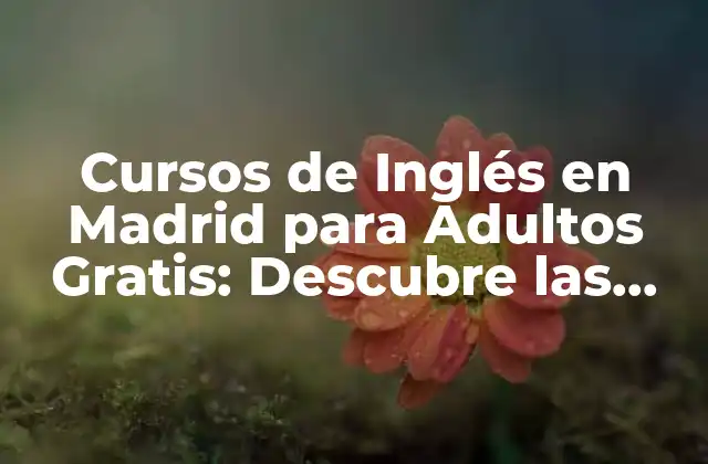 Cursos de Inglés en Madrid para Adultos Gratis: Descubre las Opciones