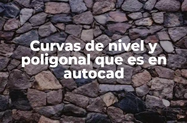 Curvas de Nivel y Poligonal que es en Autocad