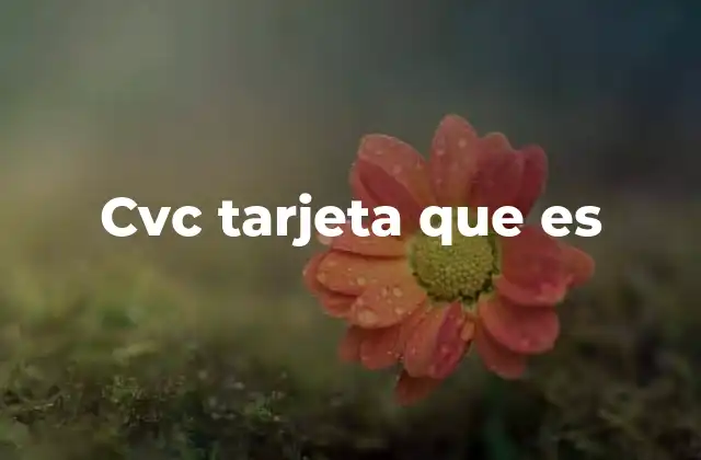 Cvc Tarjeta que es