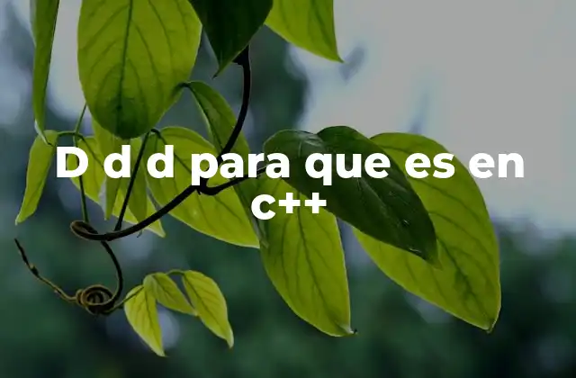 D D D para que es en C++