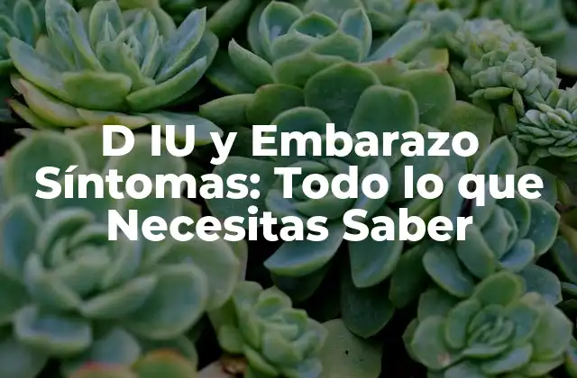 D Iu y Embarazo Síntomas: Todo Lo que Necesitas Saber