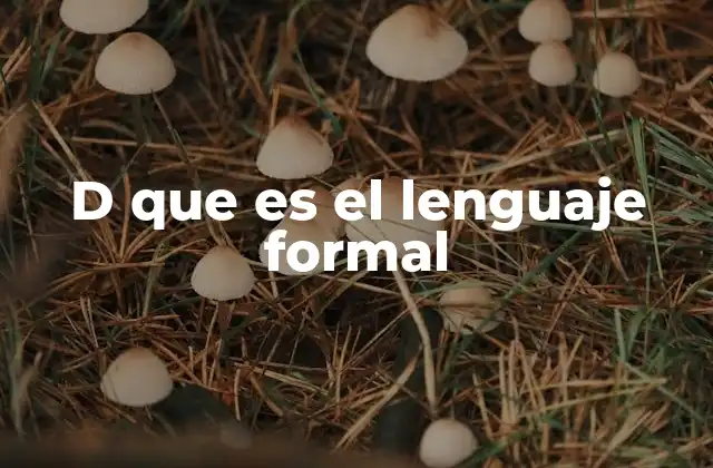 El lenguaje formal como herramienta de precisión y estructura