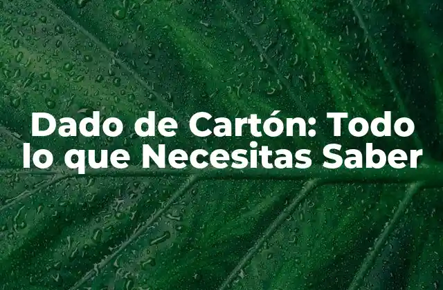 Dado de Cartón: Todo Lo que Necesitas Saber