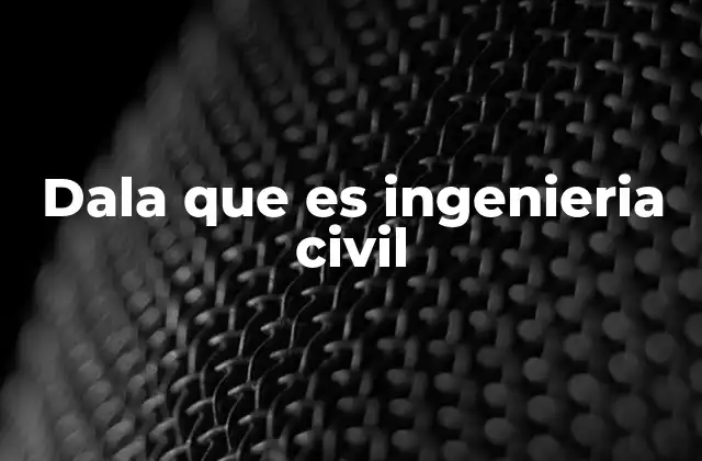 Dala que es Ingenieria Civil