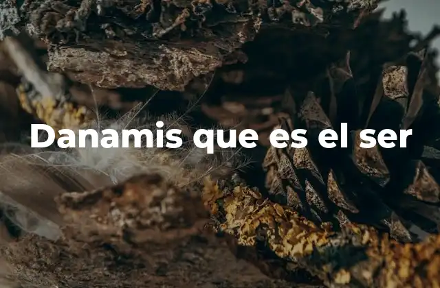 Danamis que es el Ser