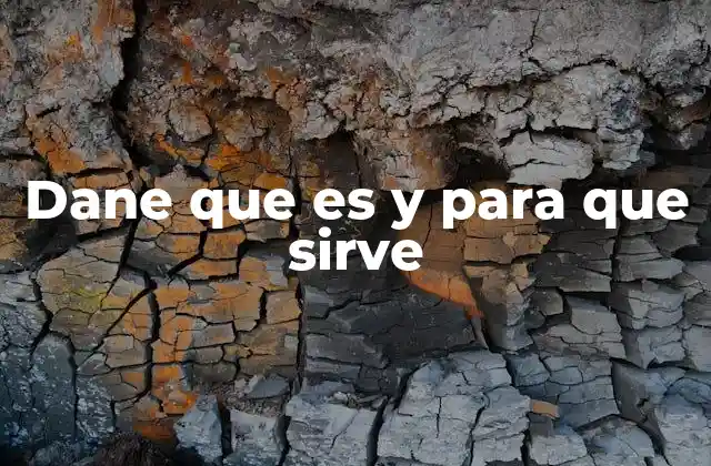 La importancia del dane en la vida cotidiana