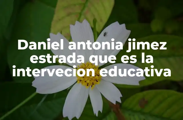 Daniel Antonia Jimez Estrada que es la Intervecion Educativa