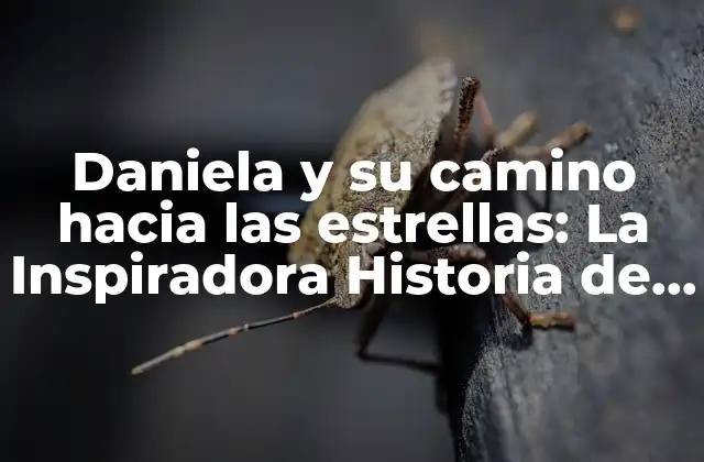 Daniela y Su Camino hacia las Estrellas: la Inspiradora Historia de una Estrella en Ascenso