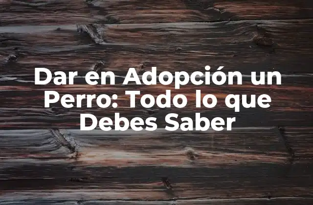 Dar en Adopción un Perro: Todo Lo que Debes Saber
