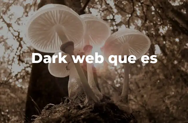 Dark Web que es