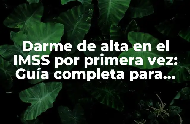 Darme de Alta en el Imss por Primera Vez: Guía Completa para Nuevos Afiliados