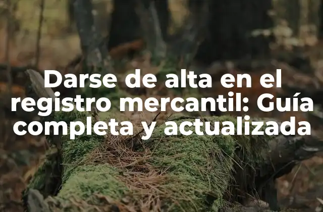 Darse de Alta en el Registro Mercantil: Guía Completa y Actualizada