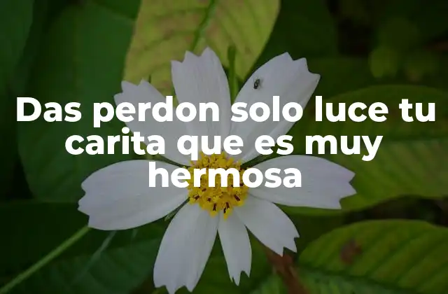 Das Perdon Solo Luce Tu Carita que es Muy Hermosa