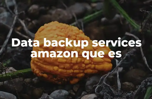 Data Backup Services Amazon que es