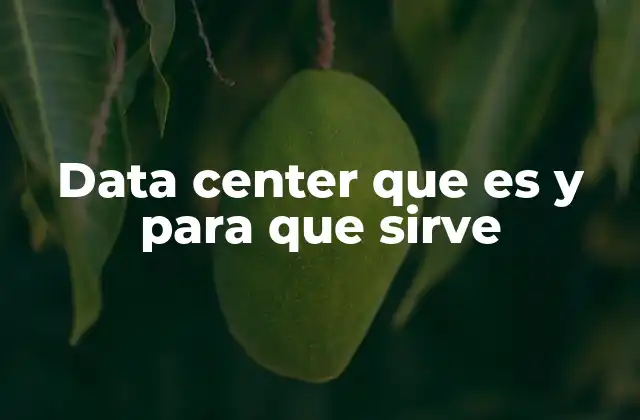 Data Center que es y para que Sirve
