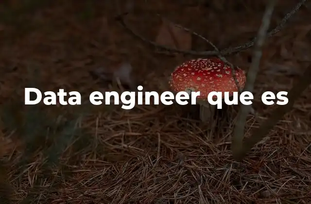 Data Engineer que es