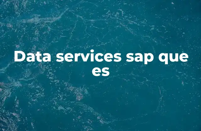 Data Services Sap que es