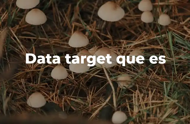 Data Target que es