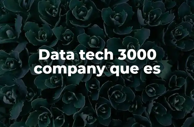 Data Tech 3000 Company que es 2 Cómo las empresas data tech 3000 transforman los negocios