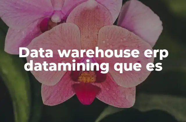 Data Warehouse Erp Datamining que es