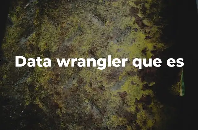 Data Wrangler que es
