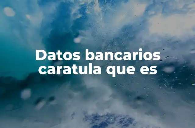 Datos Bancarios Caratula que es 2 La importancia de tener datos bancarios actualizados