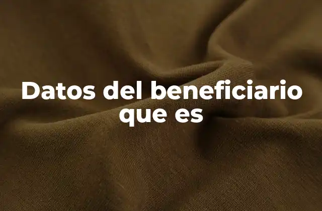 Datos Del Beneficiario que es