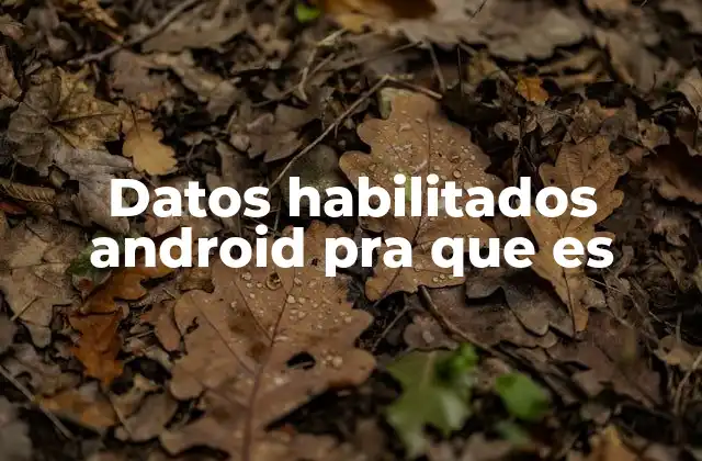 Datos Habilitados Android Pra que es