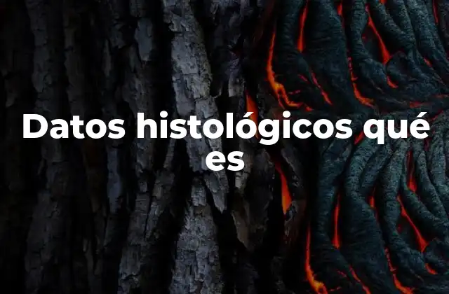 Datos Histológicos Qué es 2 El papel de los datos histológicos en la medicina moderna