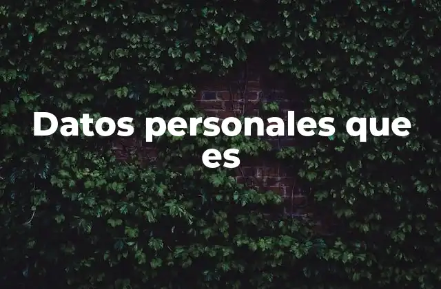 Datos Personales que es