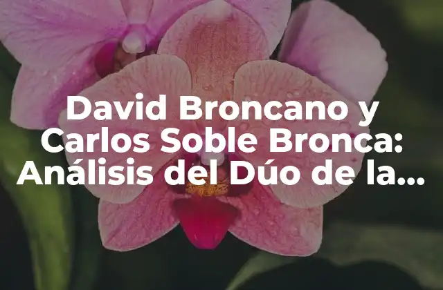 David Broncano y Carlos Soble Bronca: Análisis Del Dúo de la Comedia Española