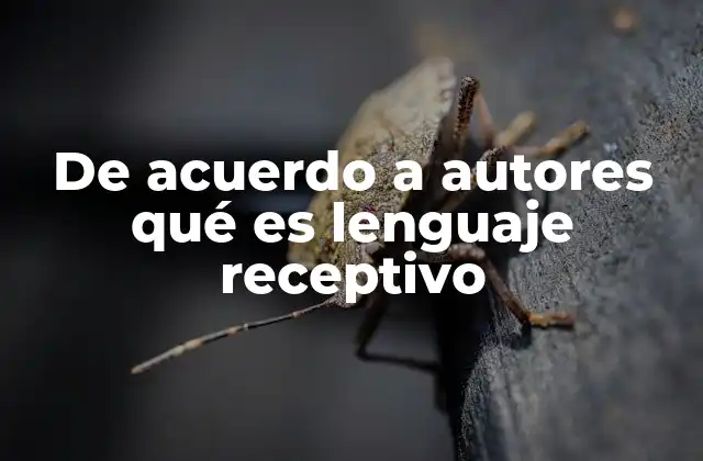 De Acuerdo a Autores Qué es Lenguaje Receptivo 2 La importancia del lenguaje receptivo en el desarrollo infantil