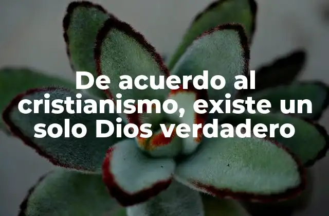De Acuerdo Al Cristianismo, Existe un Solo Dios Verdadero