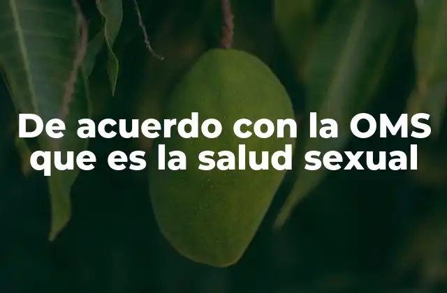 La visión integral de la salud sexual según la OMS