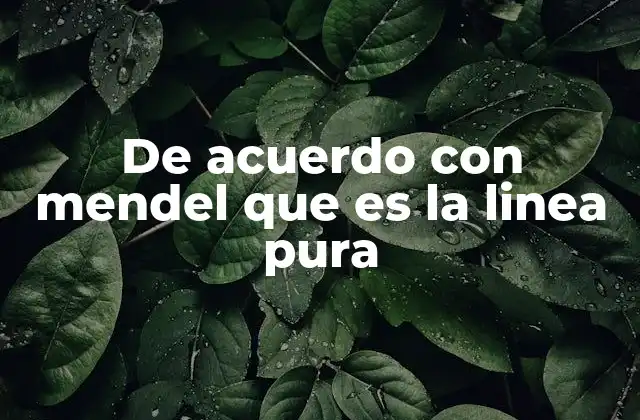 El papel de las líneas puras en los experimentos de Mendel