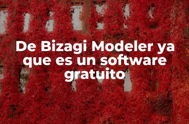 De Bizagi Modeler Ya que es un Software Gratuito