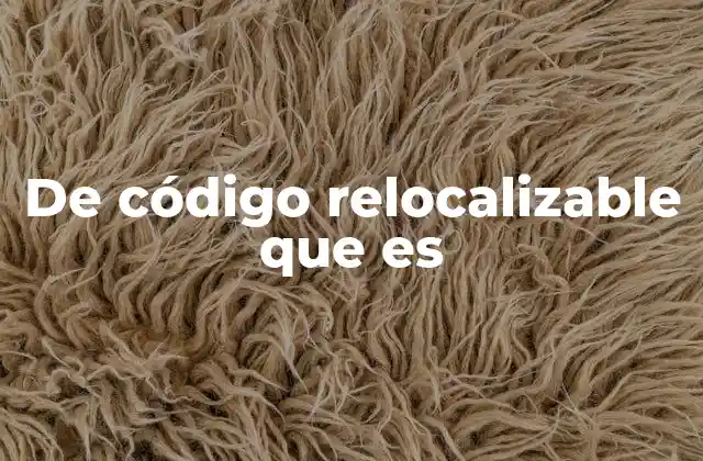 De Código Relocalizable que es