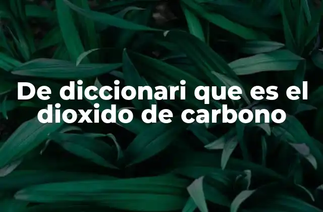 De Diccionari que es el Dioxido de Carbono