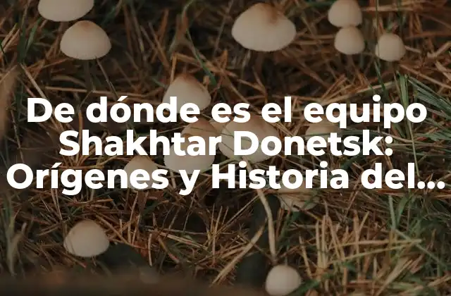 De Dónde es el Equipo Shakhtar Donetsk: Orígenes y Historia Del Fútbol Ucraniano