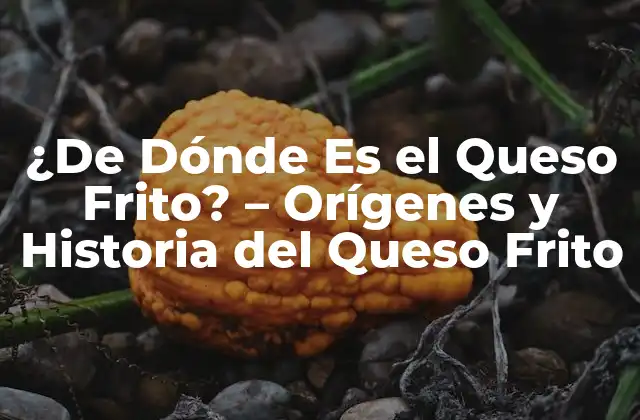 ¿de Dónde es el Queso Frito? – Orígenes y Historia Del Queso Frito