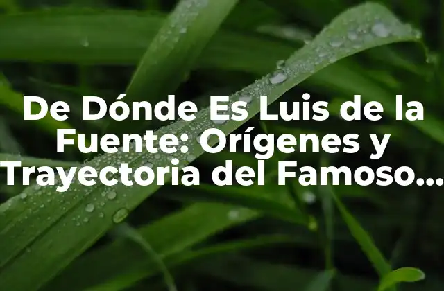 De Dónde es Luis de la Fuente: Orígenes y Trayectoria Del Famoso Entrenador de Fútbol