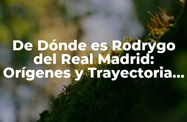 De Dónde es Rodrygo Del Real Madrid: Orígenes y Trayectoria Del Delantero Brasileño