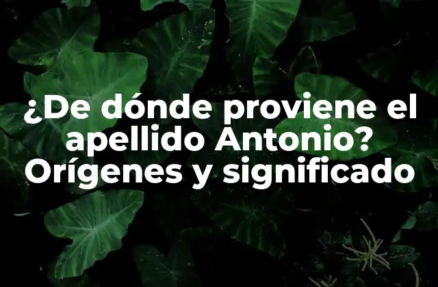 ¿de Dónde Proviene el Apellido Antonio? Orígenes y Significado