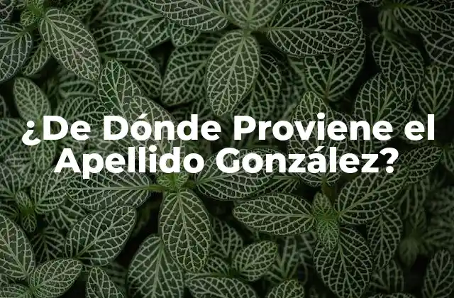 ¿de Dónde Proviene el Apellido González? 2 La Época Medieval y el Nacimiento del Apellido González